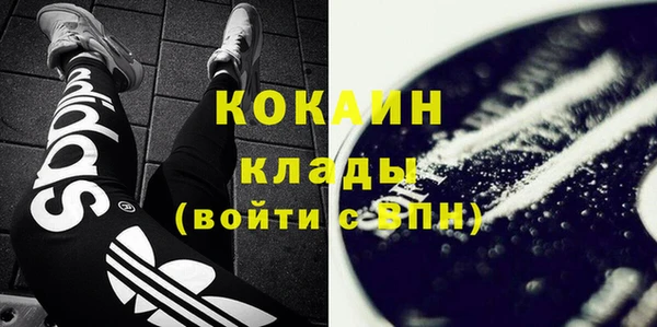 крисы Алзамай