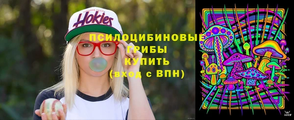 крисы Алзамай