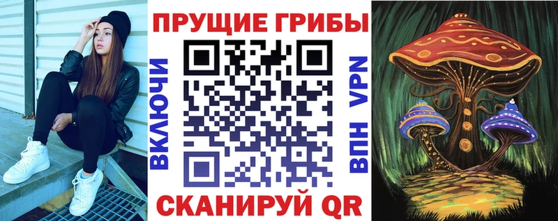дарк нет Telegram  Плавск  Псилоцибиновые грибы MAGIC MUSHROOMS 